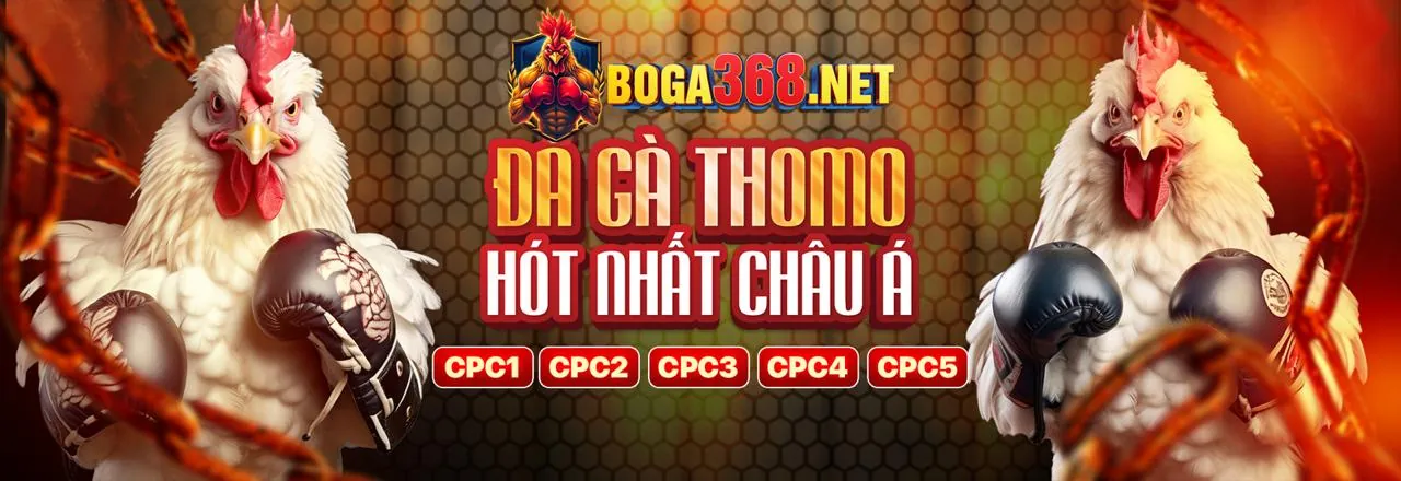 Ứng dụng cá cược U888 trên điện thoại